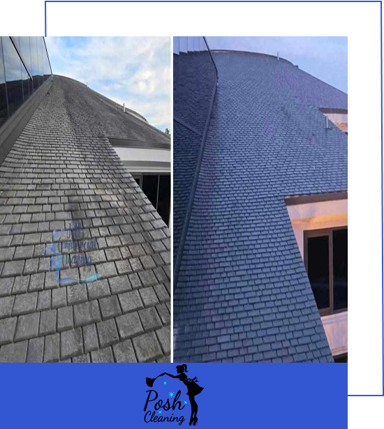 Professional Deep Cleaning Photo