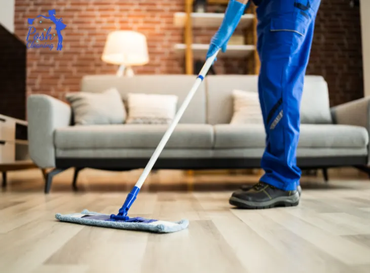 Upholstery and rug cleaning Texas