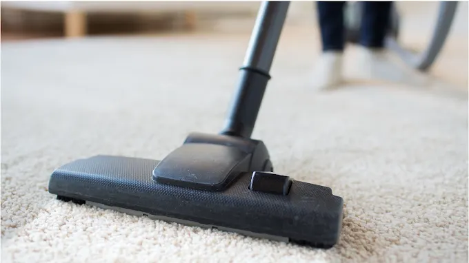 Pet odor and stain removal for carpets Texas